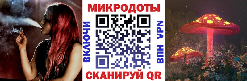Купить закладки  Красный Холм  Псилоцибиновые грибы Psilocybine cubensis 